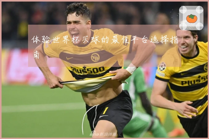 体验世界杯买球的最佳平台选择指南