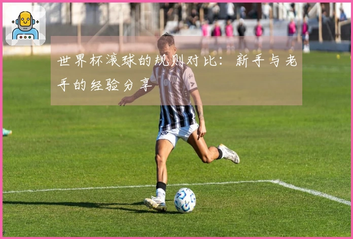世界杯滚球的规则对比：新手与老手的经验分享