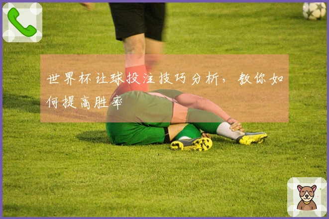 世界杯让球投注技巧分析，教你如何提高胜率