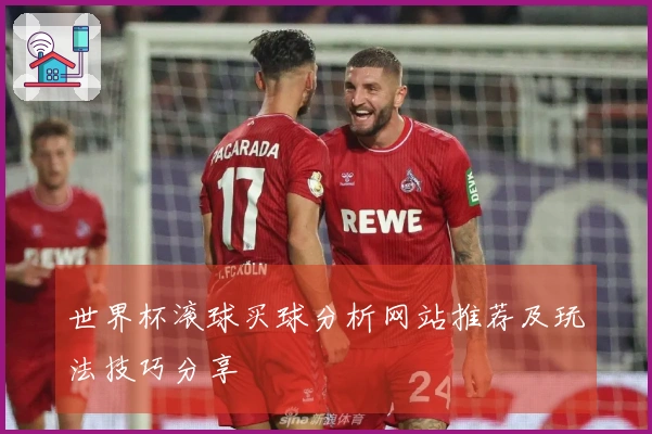 世界杯滚球买球分析网站推荐及玩法技巧分享