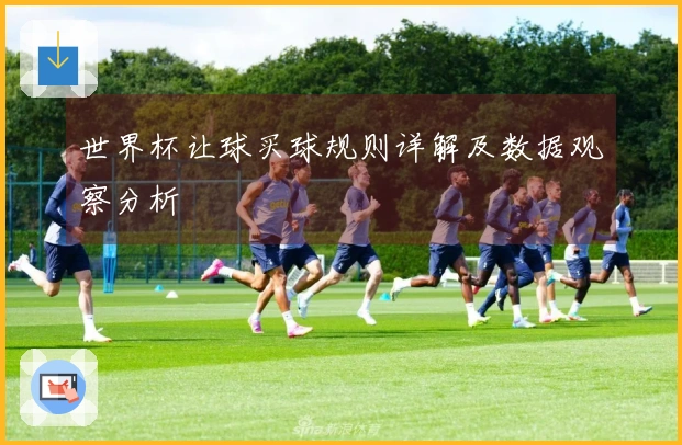 世界杯让球买球规则详解及数据观察分析