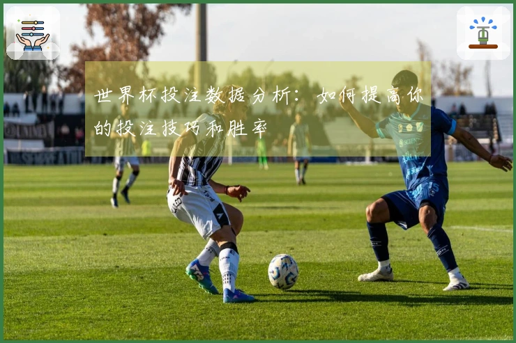 世界杯投注数据分析：如何提高你的投注技巧和胜率