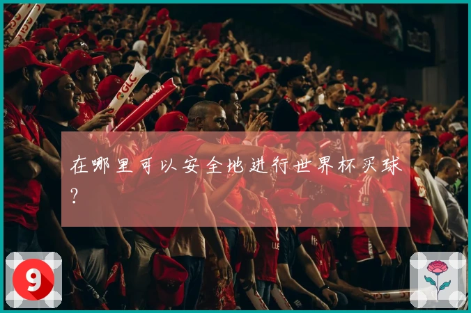 在哪里可以安全地进行世界杯买球？
