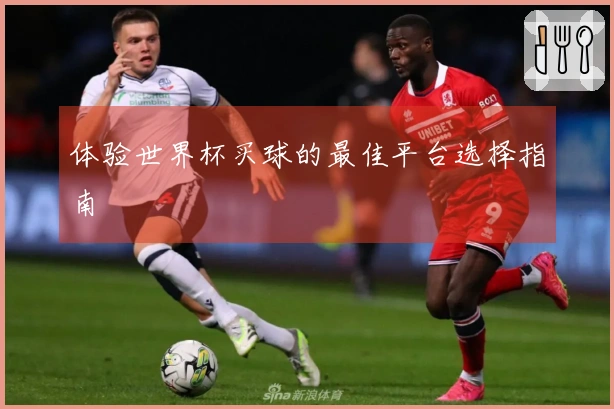 体验世界杯买球的最佳平台选择指南