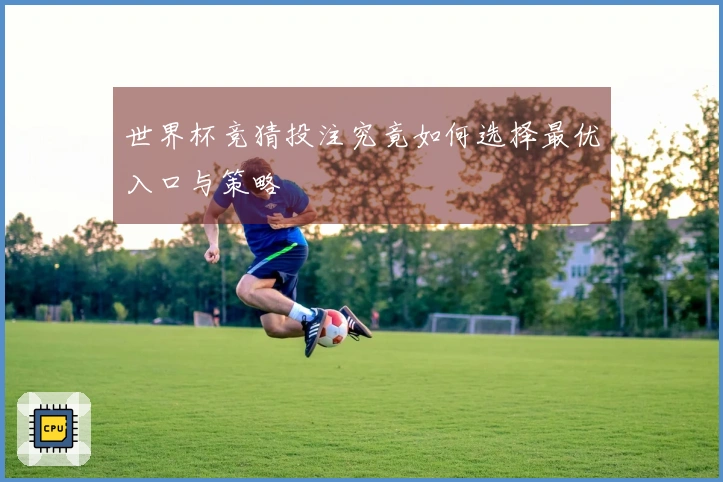 世界杯竞猜投注究竟如何选择最优入口与策略