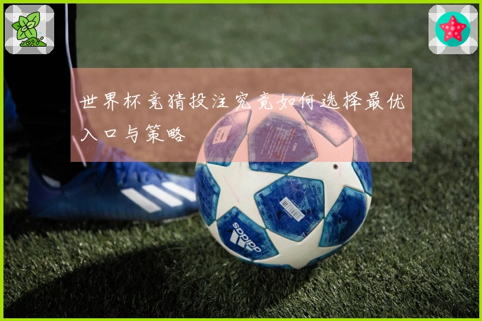 世界杯竞猜投注究竟如何选择最优入口与策略